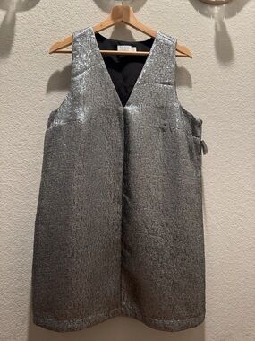 Timex Silver Textured V-Neck Shift Dress